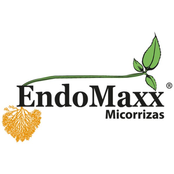 EndoMaxx