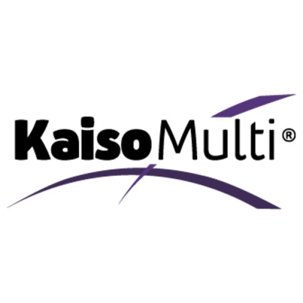 Kaiso