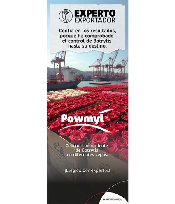 Powmyl